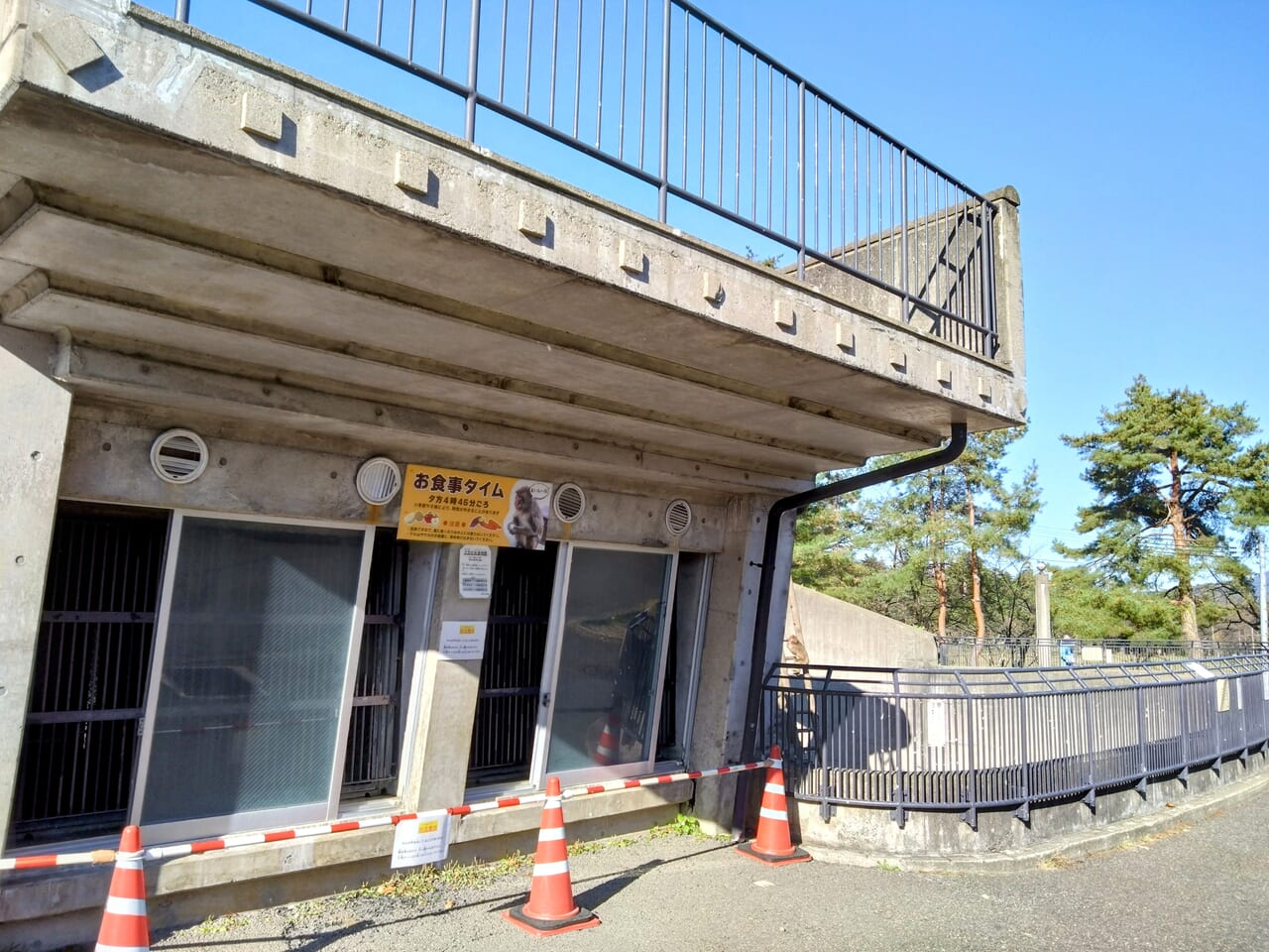 悠久山小動物園_さる1